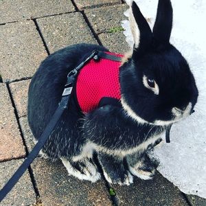 Meet your Posher, Courtney